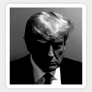 DONALD TRUMP MUG SHOT Sticker